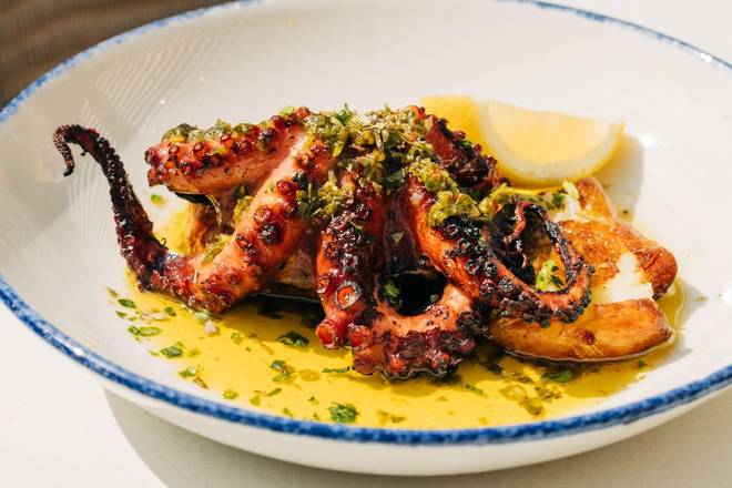 Portuguese Octopus
