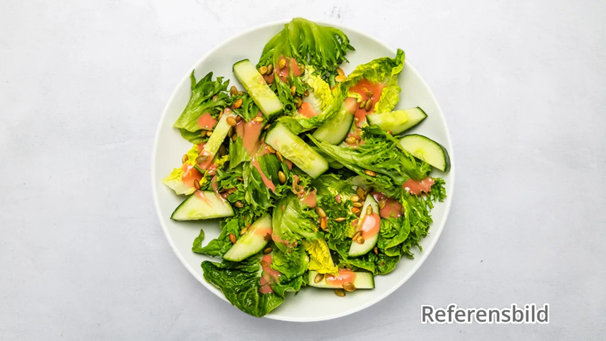 Vegetarisk Sallad
