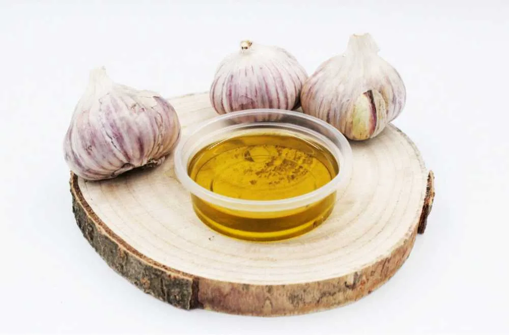 OLIWA  CZOSNKOWA