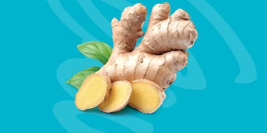 Ginger Shot