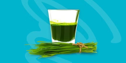 Wheatgrass Shot