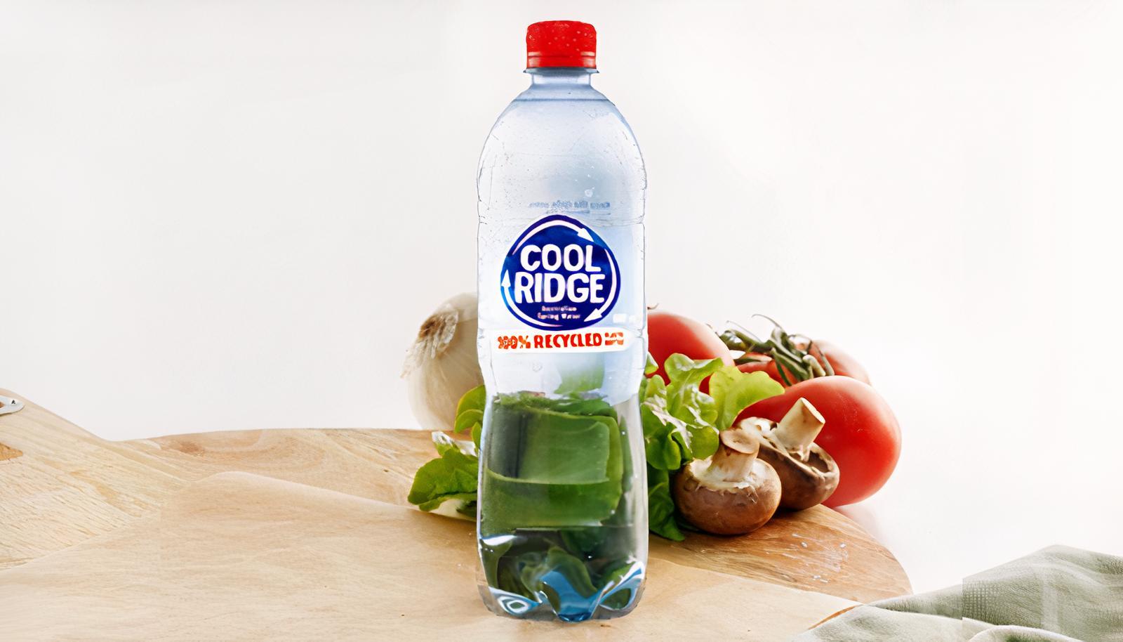 Cool Ridge Water 600mL