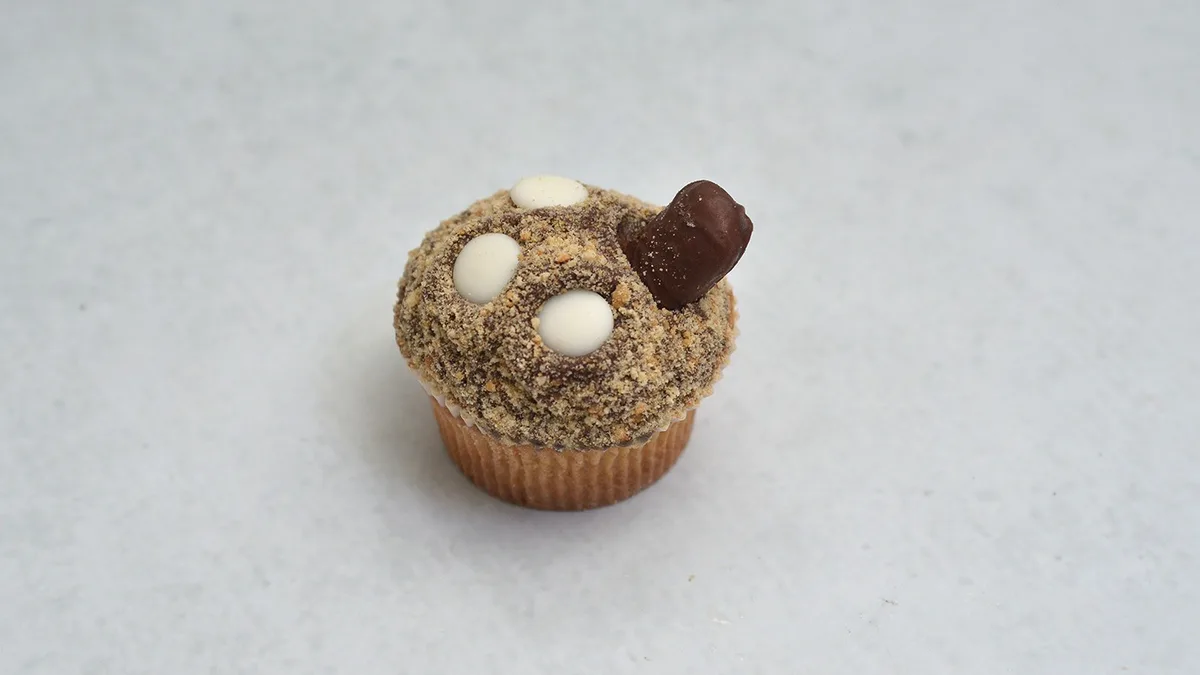 Plazma muffin