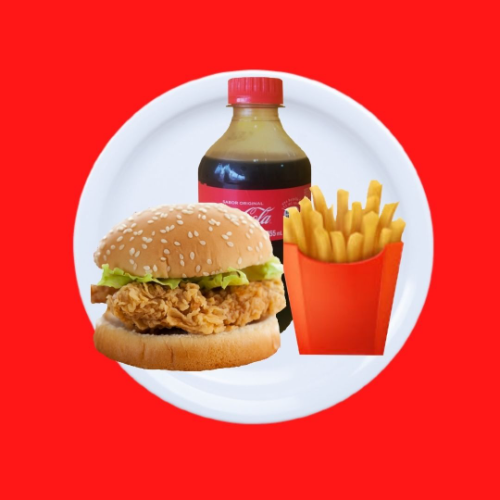 Combo Hamburguesa Pollo