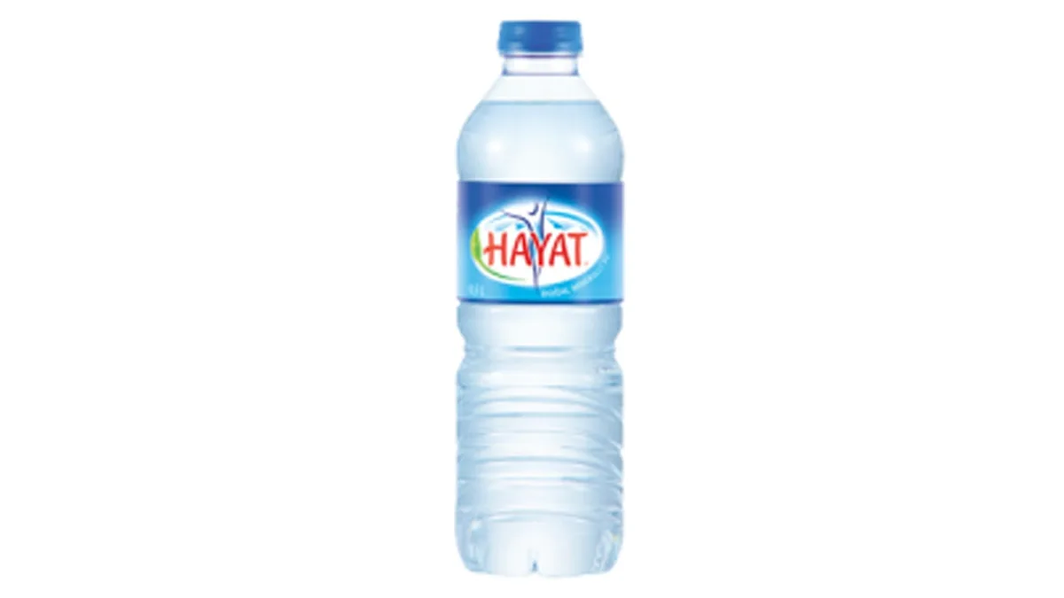 Hayat Wasser Sprudel 0,5 l