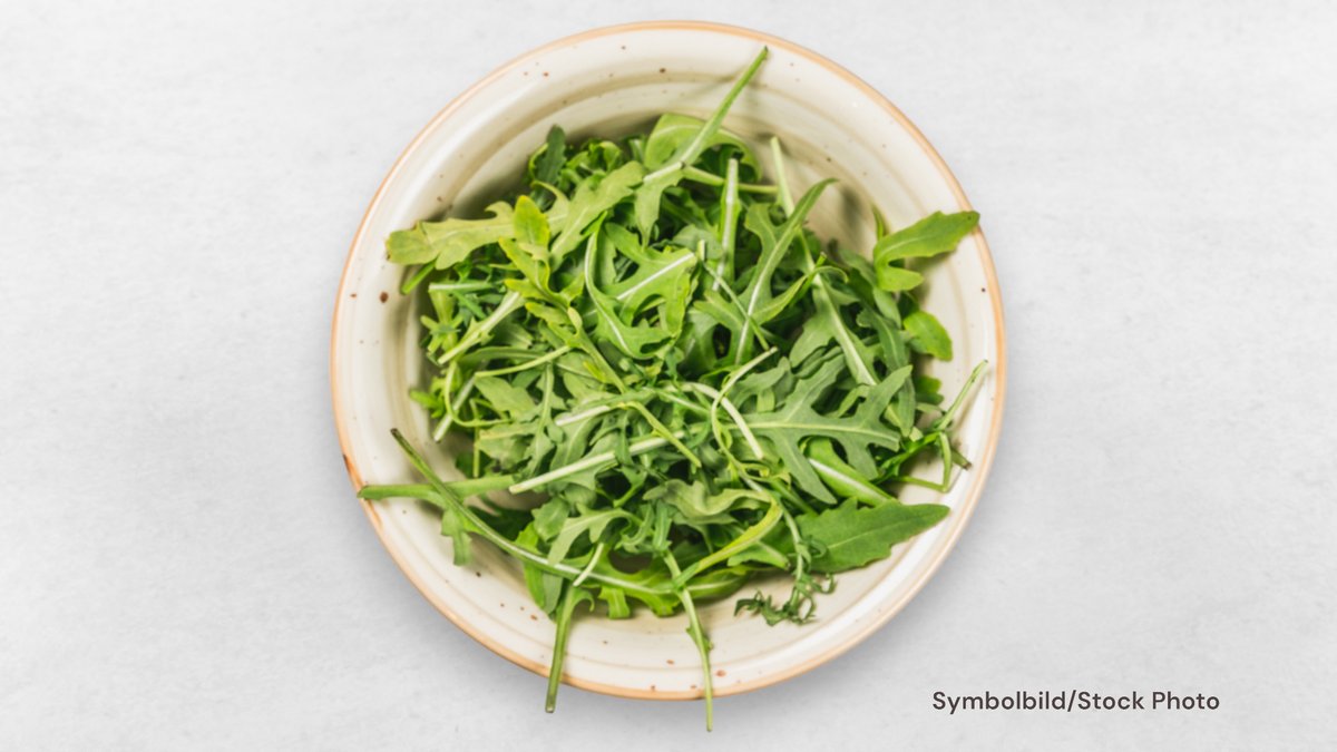 Rocket Salad