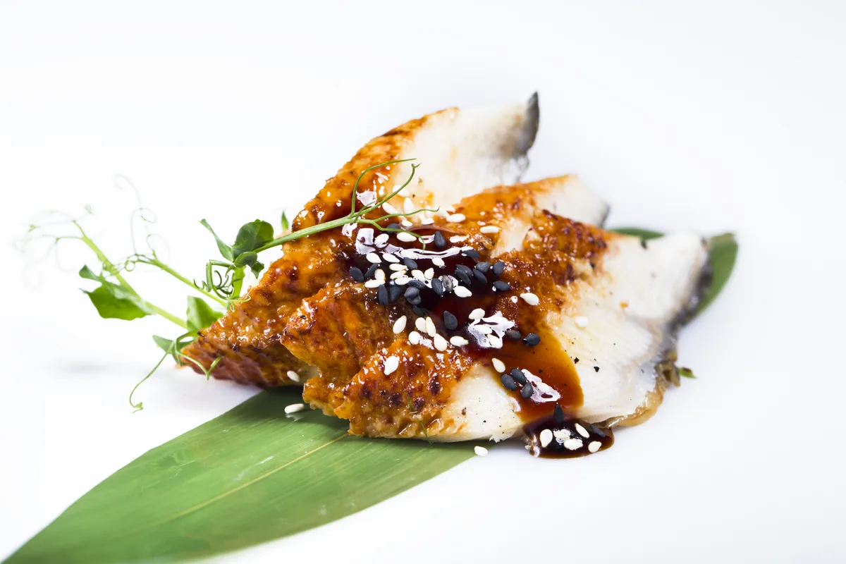 Sashimi Węgorz