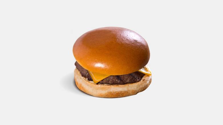 Youth Bison Burger.