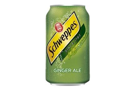 Ginger Ale / Soda au gingembre