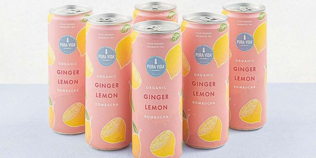Ginger Lemon Kombucha Pack
