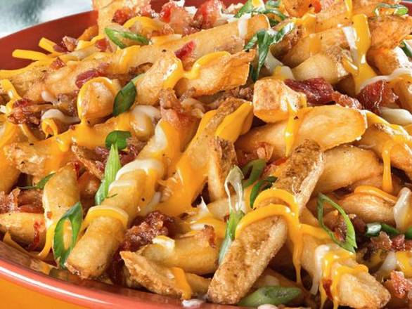 Loaded Magna Fries