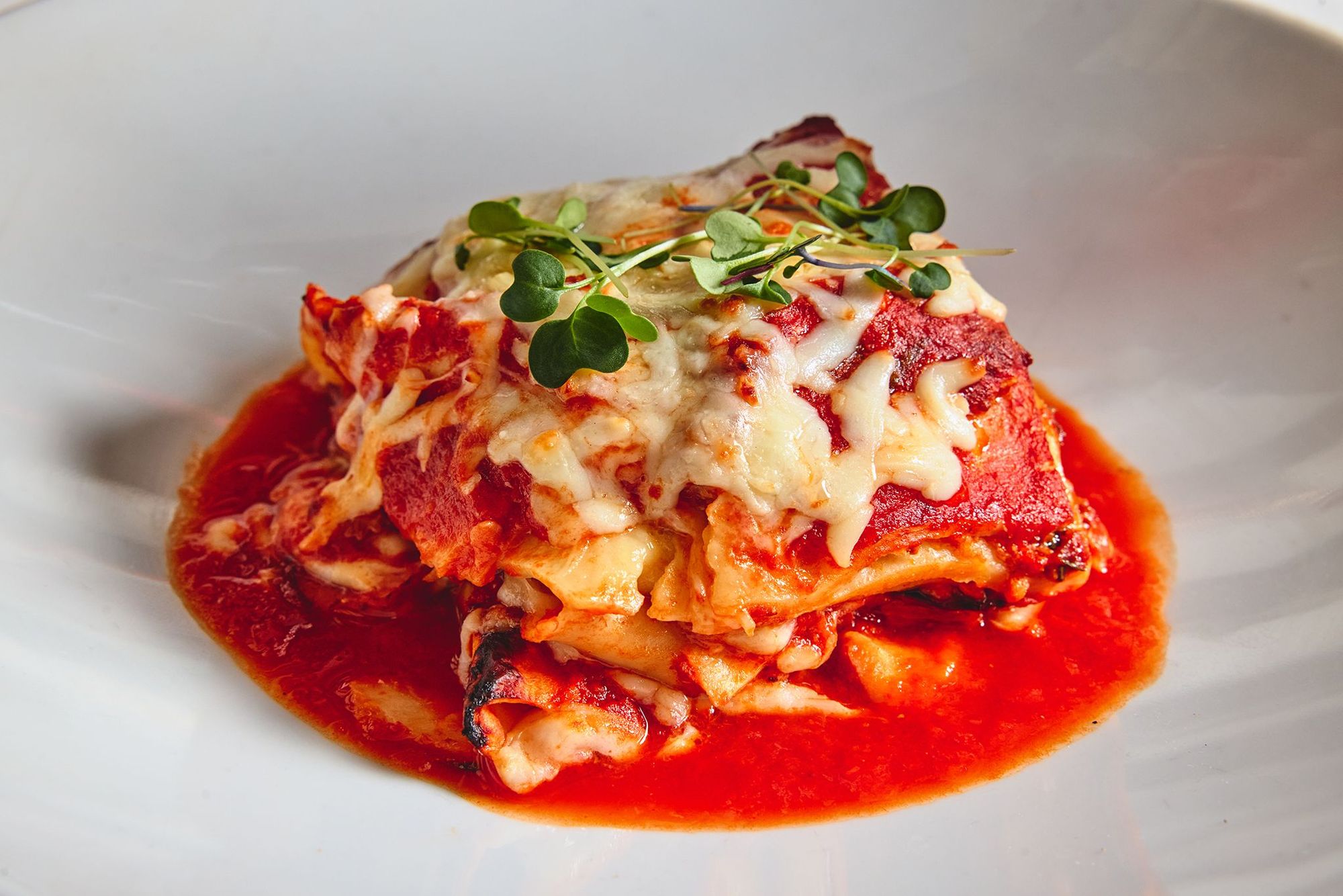Lasagna of the Day