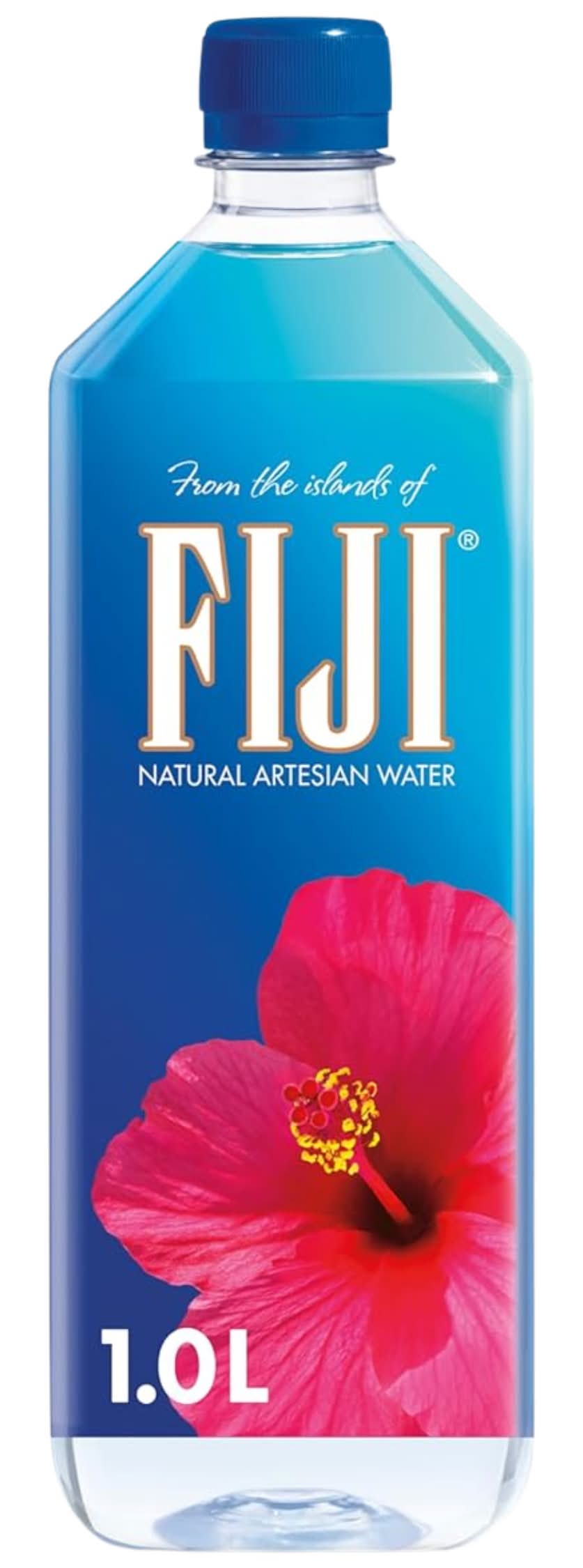 FIJI Natural Artesian Water (1 L)