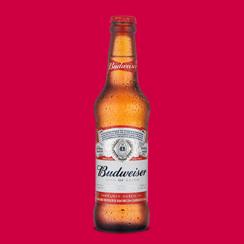 Cerveja Budweiser One Way