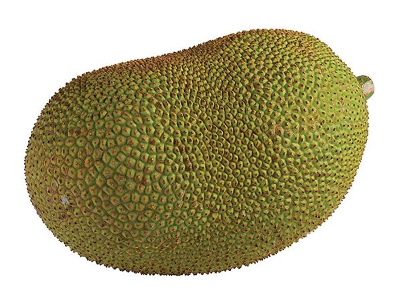 Jack Fruit Per Pound