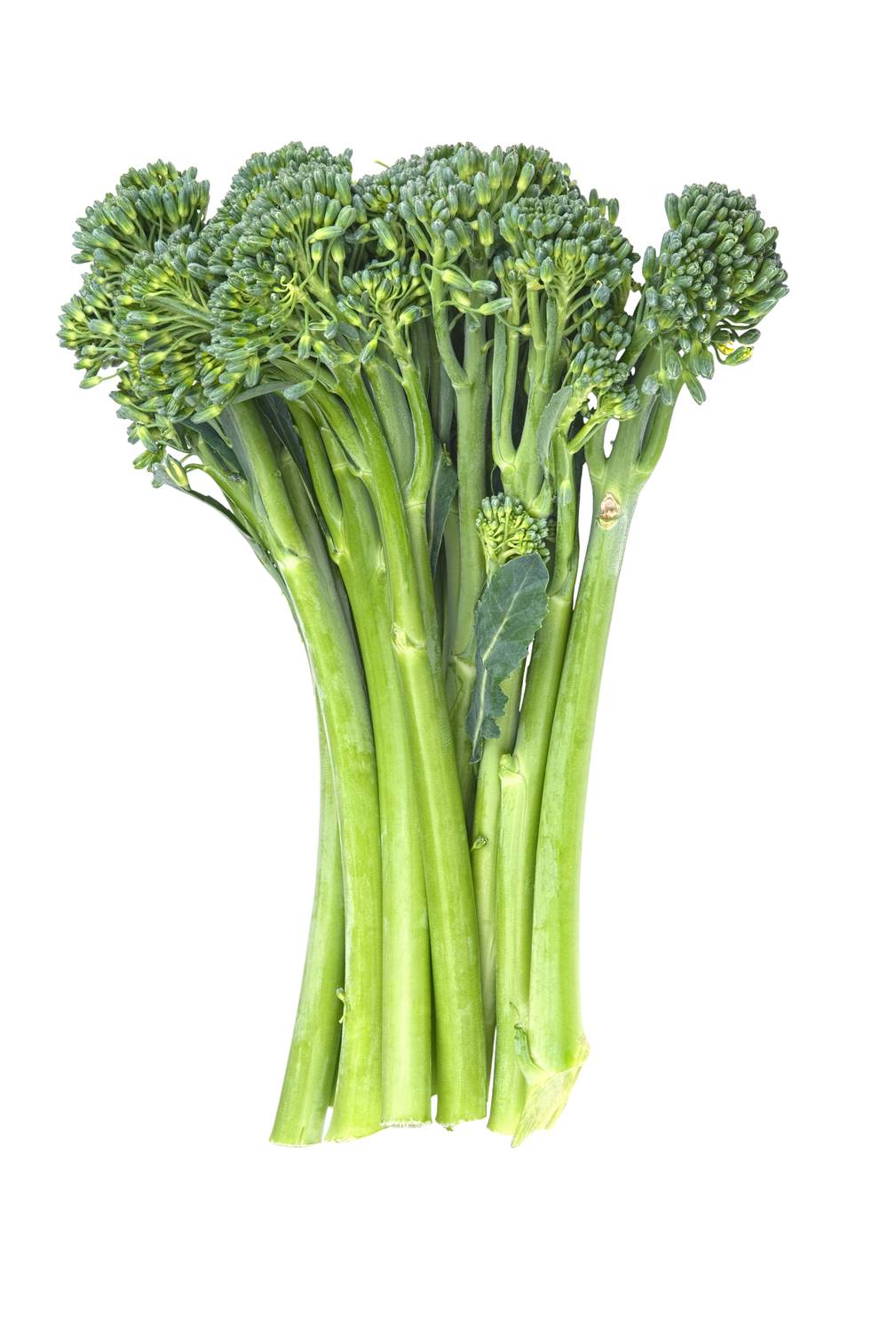 Organic Broccolini Sweet Baby