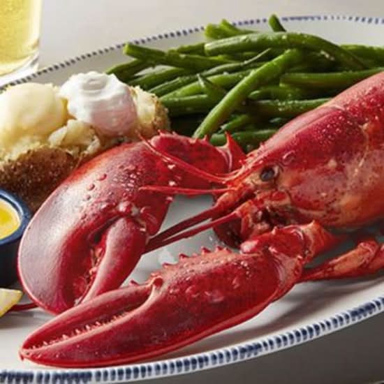 Live Maritime Lobster (1.25 lb.)