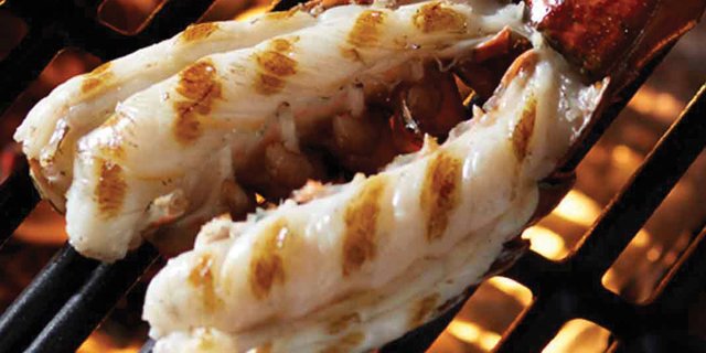 Grilled Maine Lobster Tail
