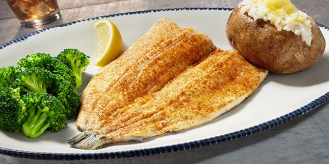 Rainbow Trout