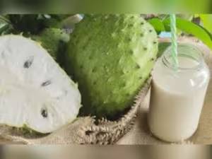 Suco de Graviola 500 ml