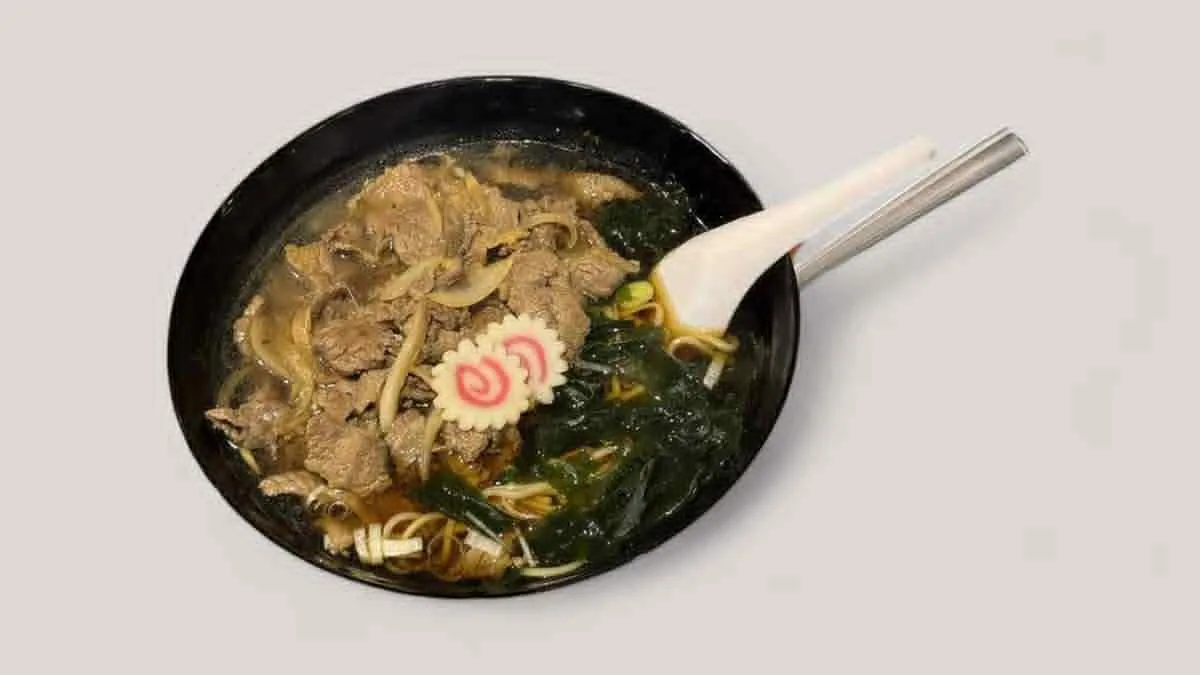 Niku Udon