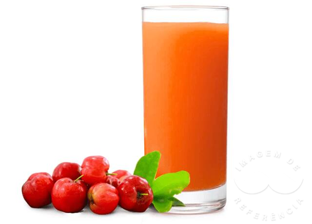 Suco de Acerola 500ml