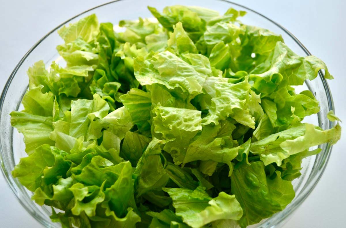 Zelena Salata