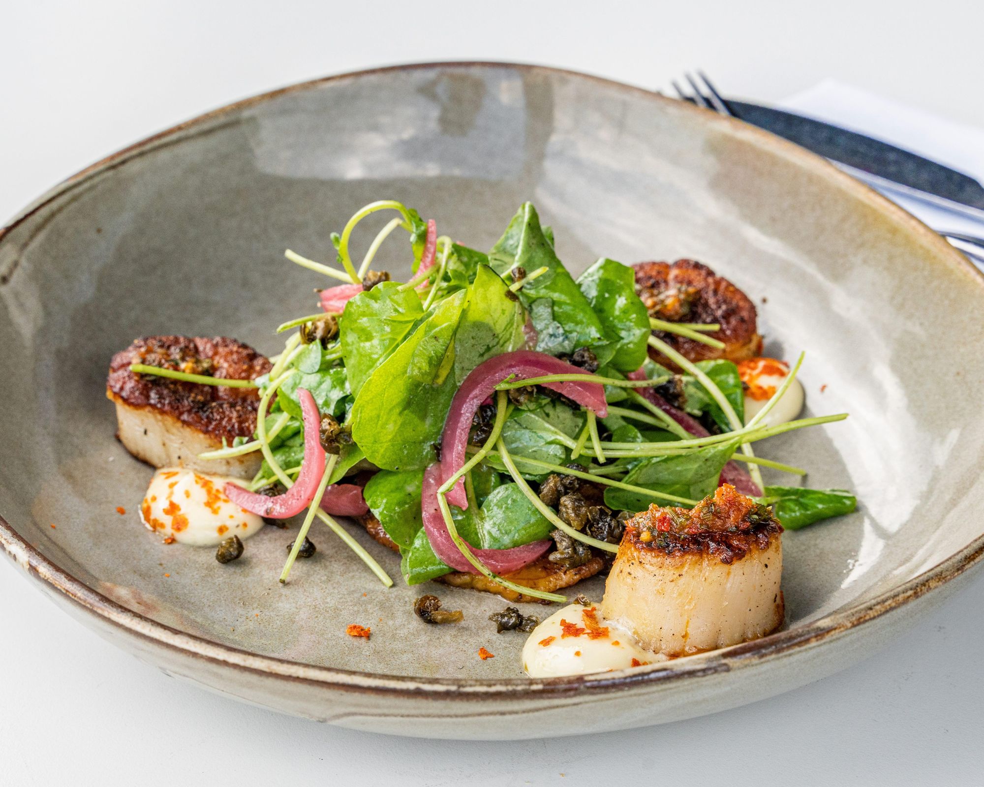 Diver Scallops
