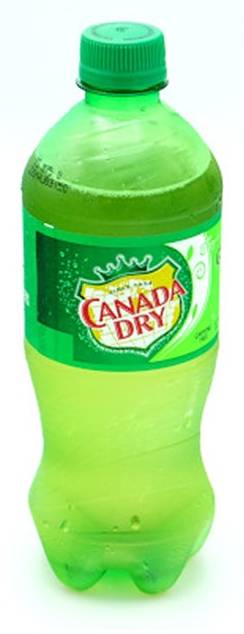 Canada Dry Ginger Ale (20 fl oz)