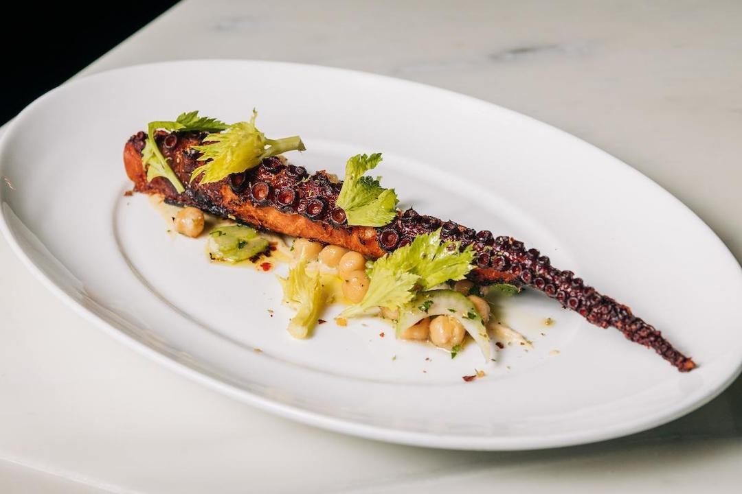 Mediterranean Octopus