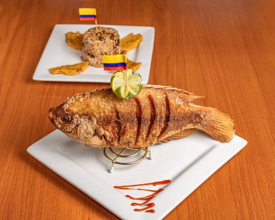 CARTA Mojarra Online