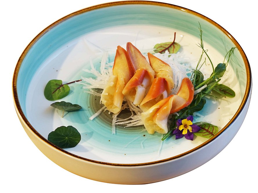 Sashimi hokkigai