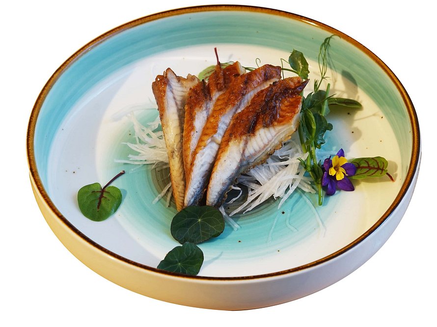 Sashimi unagi