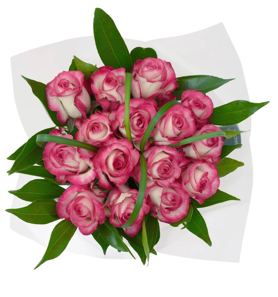 Debi Lilly Rose Chic Bouquet (7.1 oz)