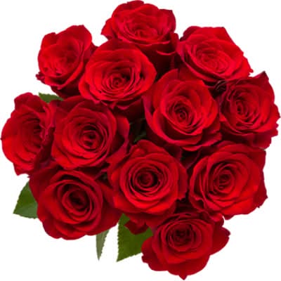 Overjoyed Rose Flowers Boutique (12 ct)