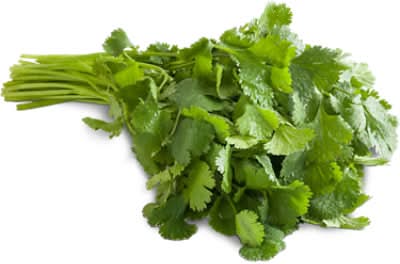 Nature's Greens Fresh Cilantro Bunch Herb