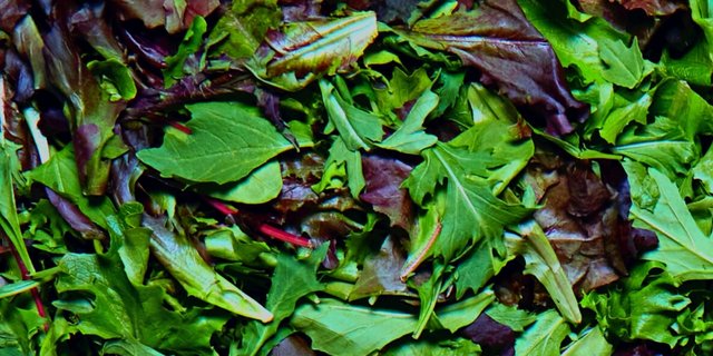 Mixed Greens