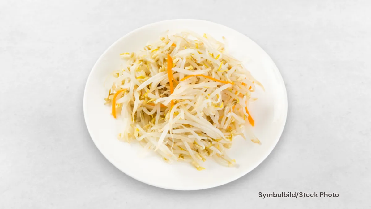 Moyashi Salat