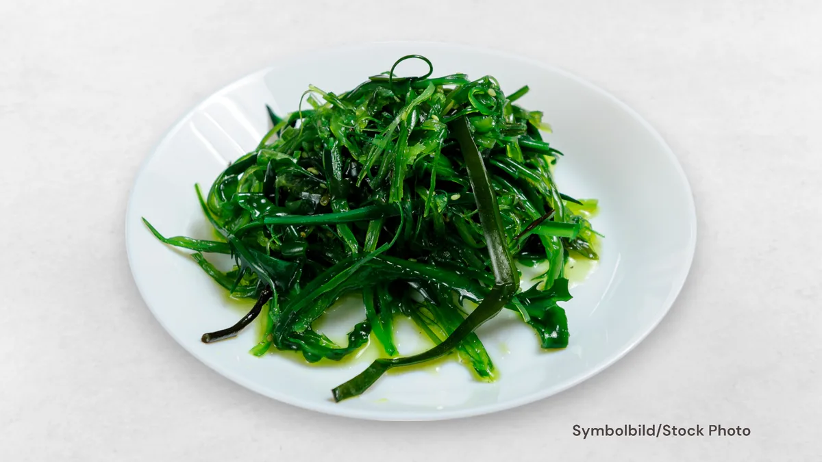 Seetang Salat 🌶️