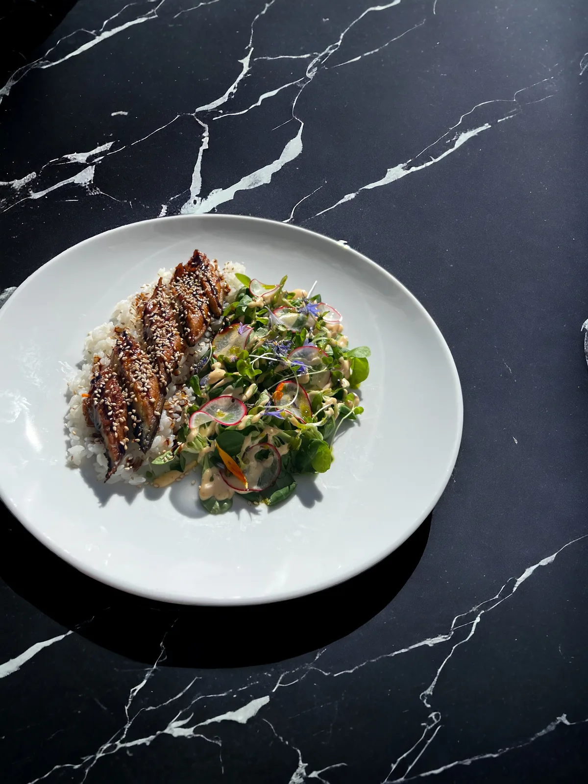 Unagi Don