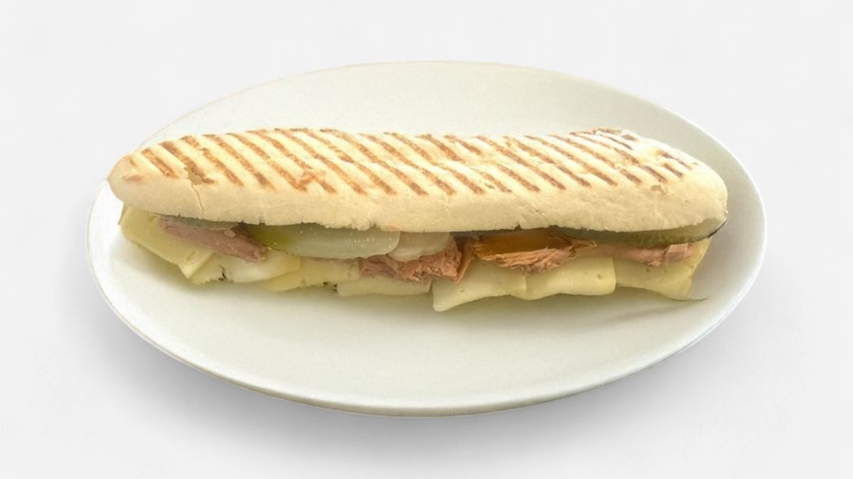 Tuna Melt Panini