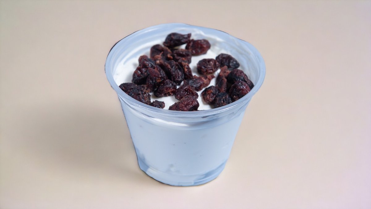 Yogurt with Dry Cranberries