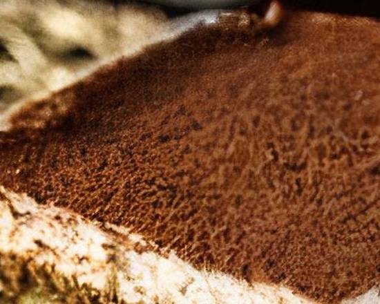 Homemade Tiramisu
