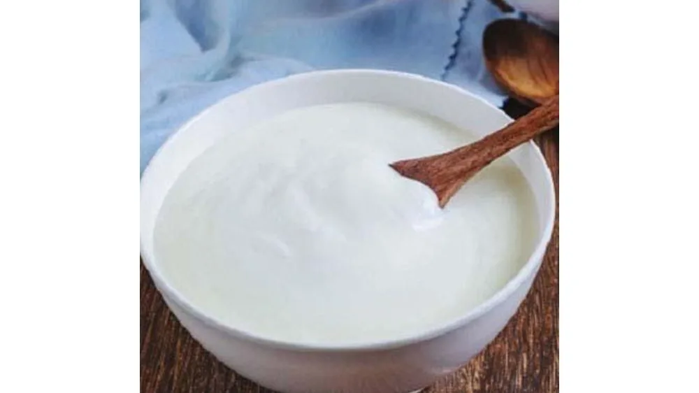 Plain Dahi