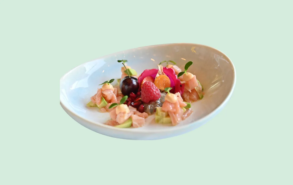 Tartar Salmoni