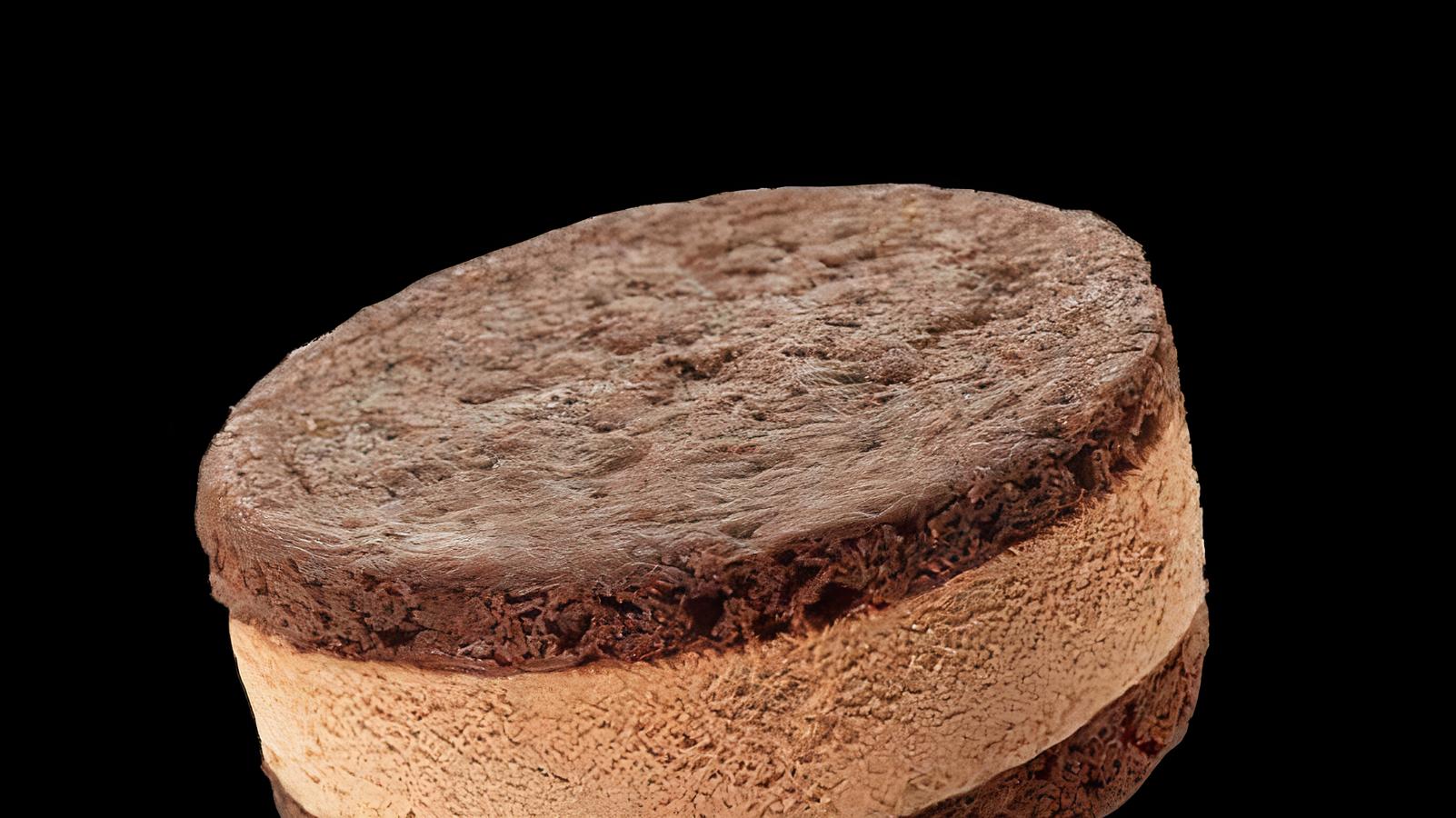Double Chocolate Sandwich