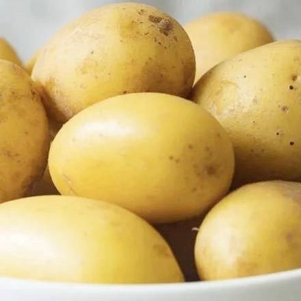 Pomme de terre bouillies / Boiled Potatoes