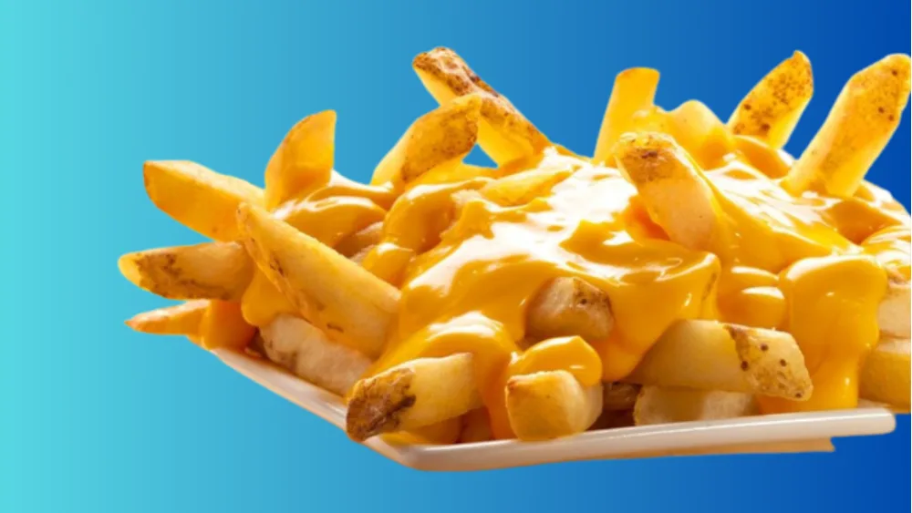 Loaded Fries