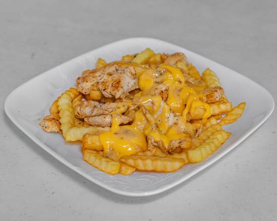 Loaded Chicken, Cheese, and Garlic Parmesan Fries