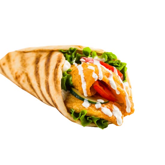 Fish Gyro